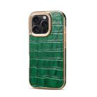 For iPhone 16 Pro Denior Crocodile Texture Genuine Leather Electroplating Phone Case(Green) - 1