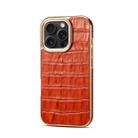 For iPhone 16 Pro Denior Crocodile Texture Genuine Leather Electroplating Phone Case(Mocha Brown) - 1