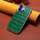 For iPhone 16 Denior Crocodile Texture Genuine Leather Electroplating Phone Case(Green) - 2