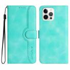 For iPhone 15 Pro Max Heart Pattern Skin Feel Leather Phone Case(Light Blue) - 1