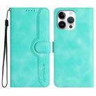 For iPhone 16 Pro Max Heart Pattern Skin Feel Leather Phone Case(Light Blue) - 1