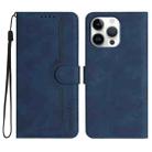 For iPhone 16 Pro Max Heart Pattern Skin Feel Leather Phone Case(Royal Blue) - 1