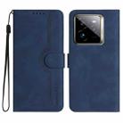 For Realme GT7 Pro Heart Pattern Skin Feel Leather Phone Case(Royal Blue) - 1