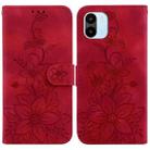 For Xiaomi Redmi A1 / A2 Lily Embossed Leather Phone Case(Red) - 1