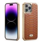 For iPhone 14 Pro Fierre Shann Python Texture Electroplating PU Phone Case(Brown) - 1