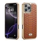 For iPhone 16 Pro Fierre Shann Python Texture Electroplating PU Phone Case(Brown) - 1