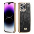 For iPhone 15 Pro Max Fierre Shann Snake Texture Electroplating PU Phone Case(Black) - 1