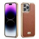 For iPhone 15 Pro Max Fierre Shann Snake Texture Electroplating PU Phone Case(Brown) - 1