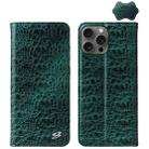 For iPhone 16 Pro Max Fierre Shann Crocodile Texture Magnetic Genuine Leather Phone Case(Green) - 1