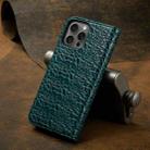 For iPhone 16 Pro Max Fierre Shann Crocodile Texture Magnetic Genuine Leather Phone Case(Green) - 3