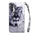 For Samsung Galaxy A55 5G 3D Painted Leather Phone Case(Husky) - 3