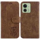 For Motorola Edge 40 Little Tiger Embossed Leather Phone Case(Brown) - 1