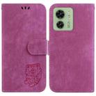 For Motorola Edge 40 Little Tiger Embossed Leather Phone Case(Rose Red) - 1