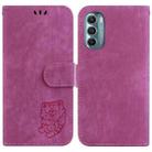 For Motorola Moto G Stylus 5G 2022 Little Tiger Embossed Leather Phone Case(Rose Red) - 1