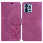 For Motorola Edge 40 Pro Little Tiger Embossed Leather Phone Case(Rose Red) - 1