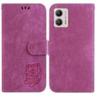 For Motorola Moto G13 / G23 / G53 Little Tiger Embossed Leather Phone Case(Rose Red) - 1