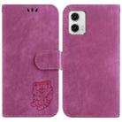 For Motorola Moto G73 Little Tiger Embossed Leather Phone Case(Rose Red) - 1