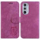 For Motorola Edge 30 Pro / Edge+ 2022 Little Tiger Embossed Leather Phone Case(Rose Red) - 1