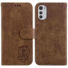 For Motorola Moto E32 Little Tiger Embossed Leather Phone Case(Brown) - 1