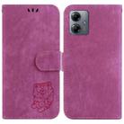 For Motorola Moto G14 Little Tiger Embossed Leather Phone Case(Rose Red) - 1