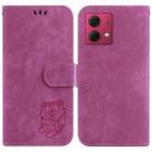 For Motorola Moto G84 Little Tiger Embossed Leather Phone Case(Rose Red) - 1