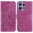 For Motorola Edge 50 Pro Little Tiger Embossed Leather Phone Case(Rose Red) - 1