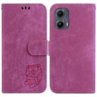 For Motorola Edge 2024 Little Tiger Embossed Leather Phone Case(Rose Red) - 1