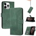 For iPhone 16 Pro Max Cubic Skin Feel Flip Leather Phone Case(Green) - 1