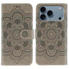 For iPhone 17 Pro Sun Mandala Embossing Leather Phone Case(Grey) - 1