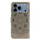 For iPhone 17 Pro Sun Mandala Embossing Leather Phone Case(Grey) - 3