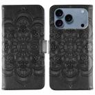 For iPhone 17 Pro Sun Mandala Embossing Leather Phone Case(Black) - 1