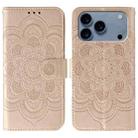 For iPhone 17 Pro Sun Mandala Embossing Leather Phone Case(Rose Gold) - 1