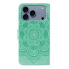 For iPhone 17 Pro Sun Mandala Embossing Leather Phone Case(Green) - 3
