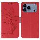 For iPhone 17 Pro Max Feather Pattern Litchi Texture Leather Phone Case(Red) - 1
