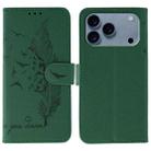 For iPhone 17 Pro Max Feather Pattern Litchi Texture Leather Phone Case(Green) - 1