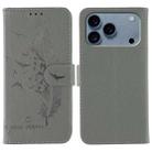 For iPhone 17 Pro Max Feather Pattern Litchi Texture Leather Phone Case(Gray) - 1