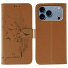 For iPhone 17 Pro Max Feather Pattern Litchi Texture Leather Phone Case(Brown) - 1