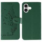 For iPhone 17 Feather Pattern Litchi Texture Leather Phone Case(Green) - 1