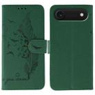 For iPhone 17 Air Feather Pattern Litchi Texture Leather Phone Case(Green) - 1