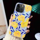 For iPhone 15 Pro Electroplated Color Film TPU + PC Phone Case(Chrysanthemum) - 1