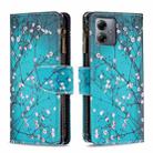For Motorola Moto G14 4G Colored Drawing Pattern Zipper Leather Phone Case(Plum Blossom) - 1
