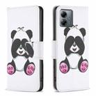 For Motorola Moto G14 4G Colored Drawing Pattern Leather Phone Case(Panda) - 1