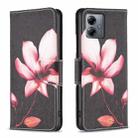 For Motorola Moto G14 4G Colored Drawing Pattern Leather Phone Case(Lotus) - 1