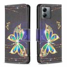 For Motorola Moto G14 4G Colored Drawing Pattern Leather Phone Case(Big Butterfly) - 1