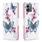 For Motorola Moto G14 4G Colored Drawing Pattern Leather Phone Case(Flowers Butterfly) - 1