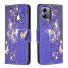 For Motorola Moto G14 4G Colored Drawing Pattern Leather Phone Case(Purple Butterfly) - 1