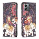 For Motorola Moto G14 4G Colored Drawing Pattern Leather Phone Case(Flowers Elephant) - 1