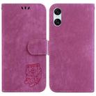 For Sony Xperia 10 VI Little Tiger Embossed Leather Phone Case(Rose Red) - 1