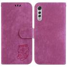 For LG Velvet 4G / 5G / G9 Little Tiger Embossed Leather Phone Case(Rose Red) - 1