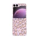 For Samsung Galaxy Z Flip5 Painted Pattern PC Transparent Folding Phone Case(Z09 Pink Leopard) - 1